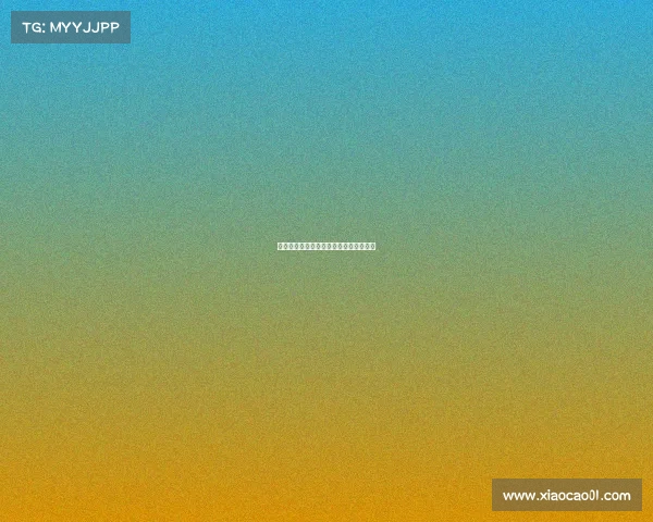 东晨电子竞技网咖团购东辰网络科技公司