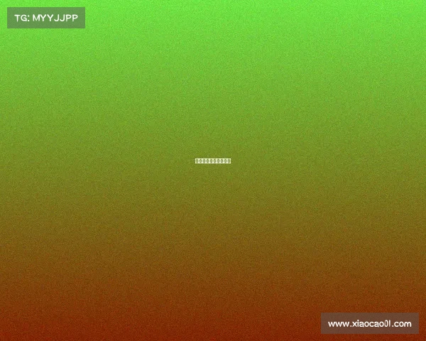 真实边境电子竞技游戏